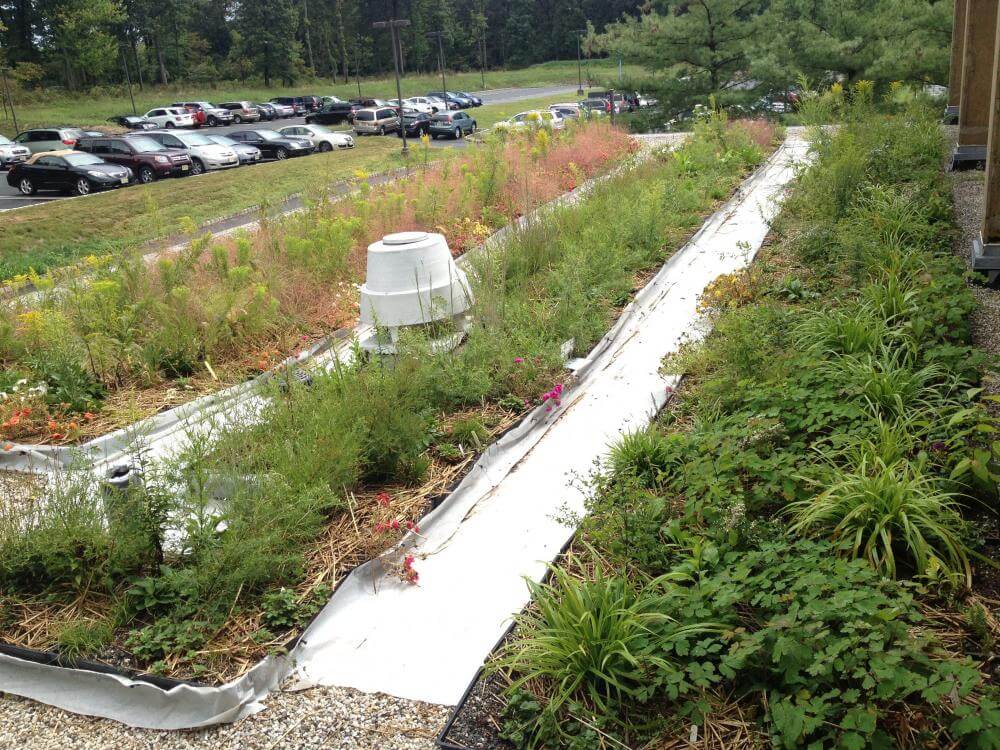 National Organization Recognizes RVCC for Sustainability Efforts