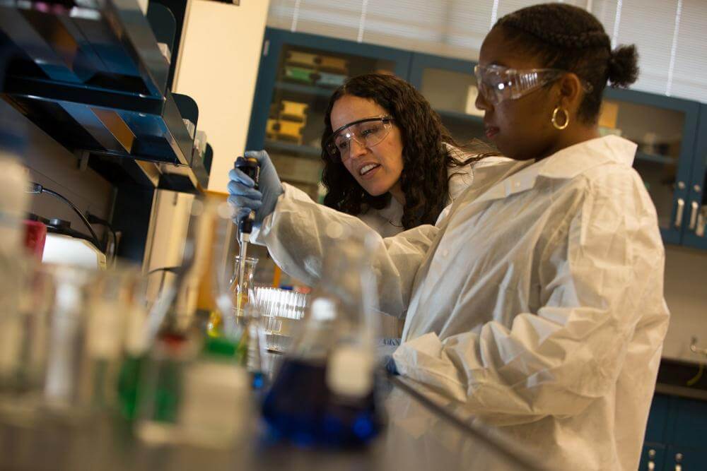 A longstanding commitment to STEM education at RVCC