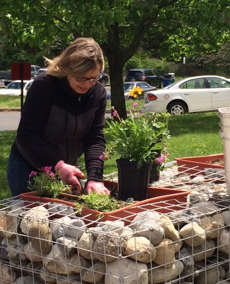 RVCC Continues to Earn National Recognition for Sustainability Efforts