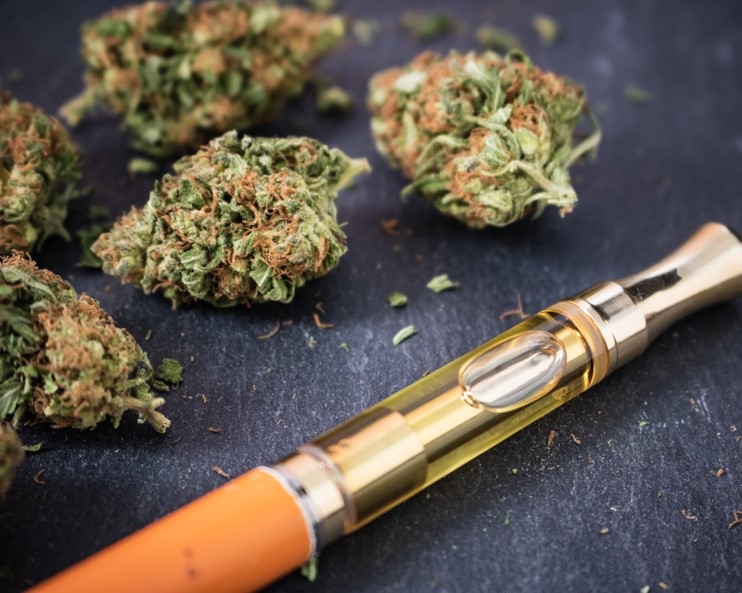 Online Medical Cannabis Training Program Set in June