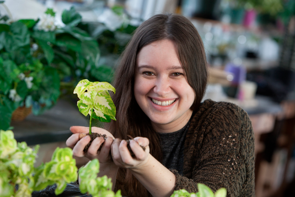 Why Study the Social Sciences?