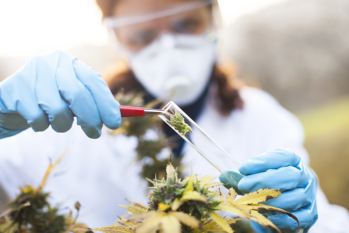 Close up image of person in mask and lab coat handling medical cannabis