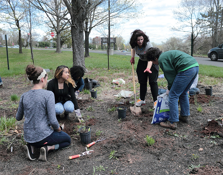 RVCC Recognized Nationally for Sustainability Initiatives