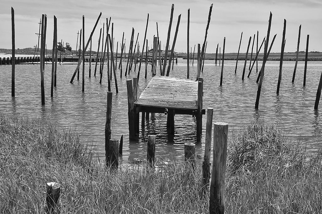 Contemporary Photography Exhibition on Display