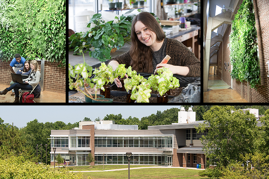 Earth Day Update: Committed to Sustainability at RVCC