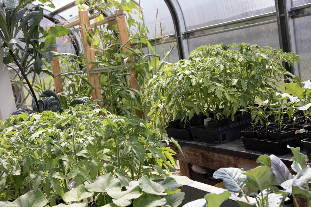 National Organization Rates RVCC Top U.S. Community College for Sustainability Achievements