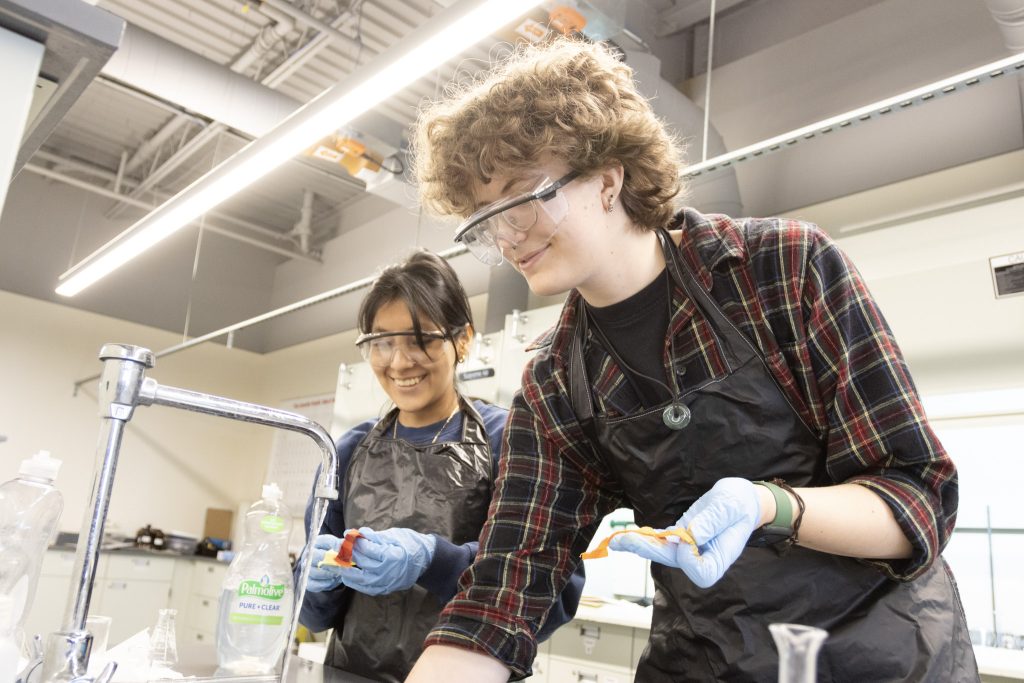Biology Professor Receives Social Learning Innovator Award in STEM