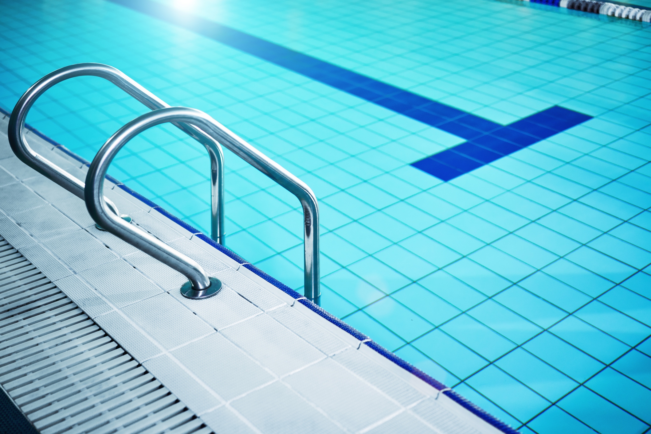 The swimming pool ladder