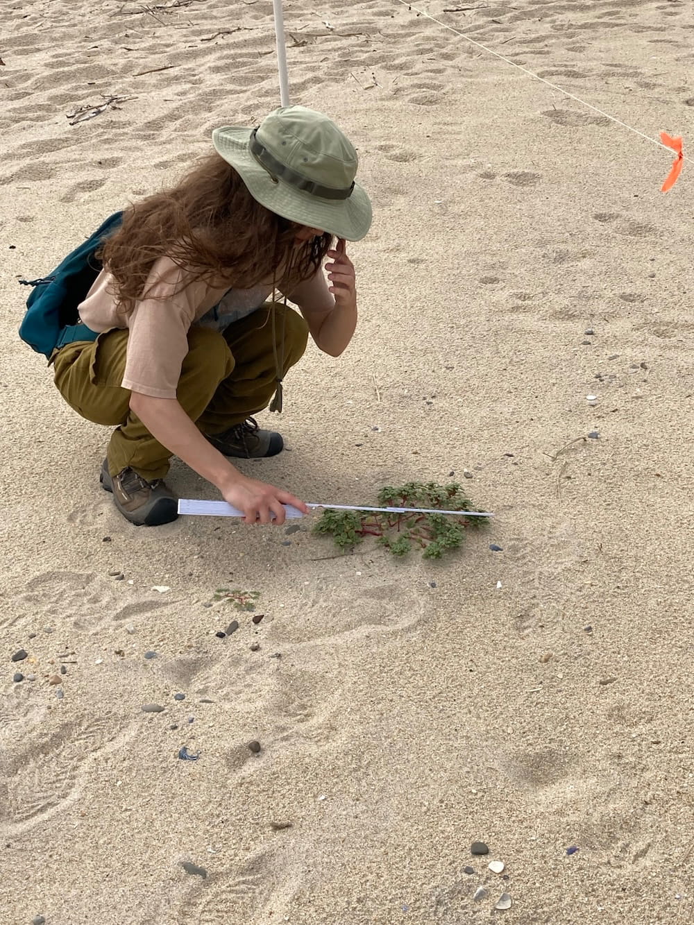 rvcc ces coastal intern taking a measurement in the sand