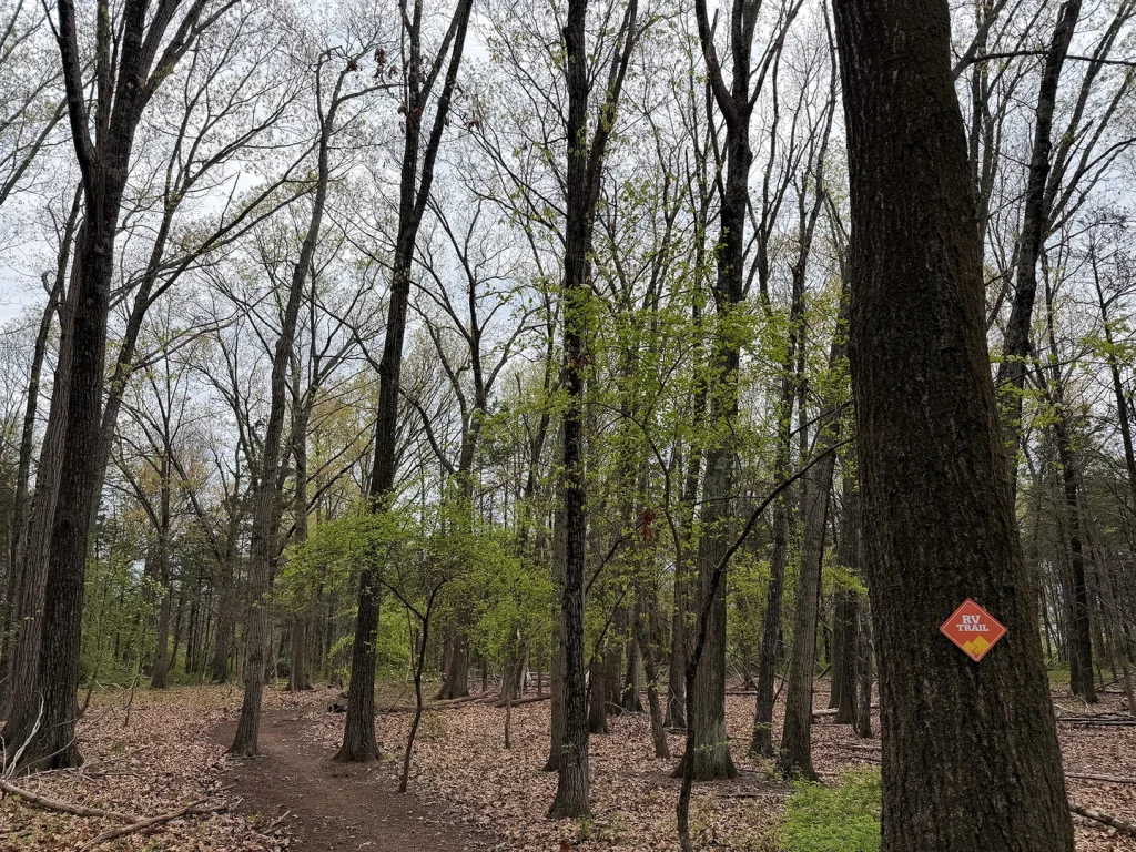 RVCC Receives STARS Silver Rating for Sustainability Achievements