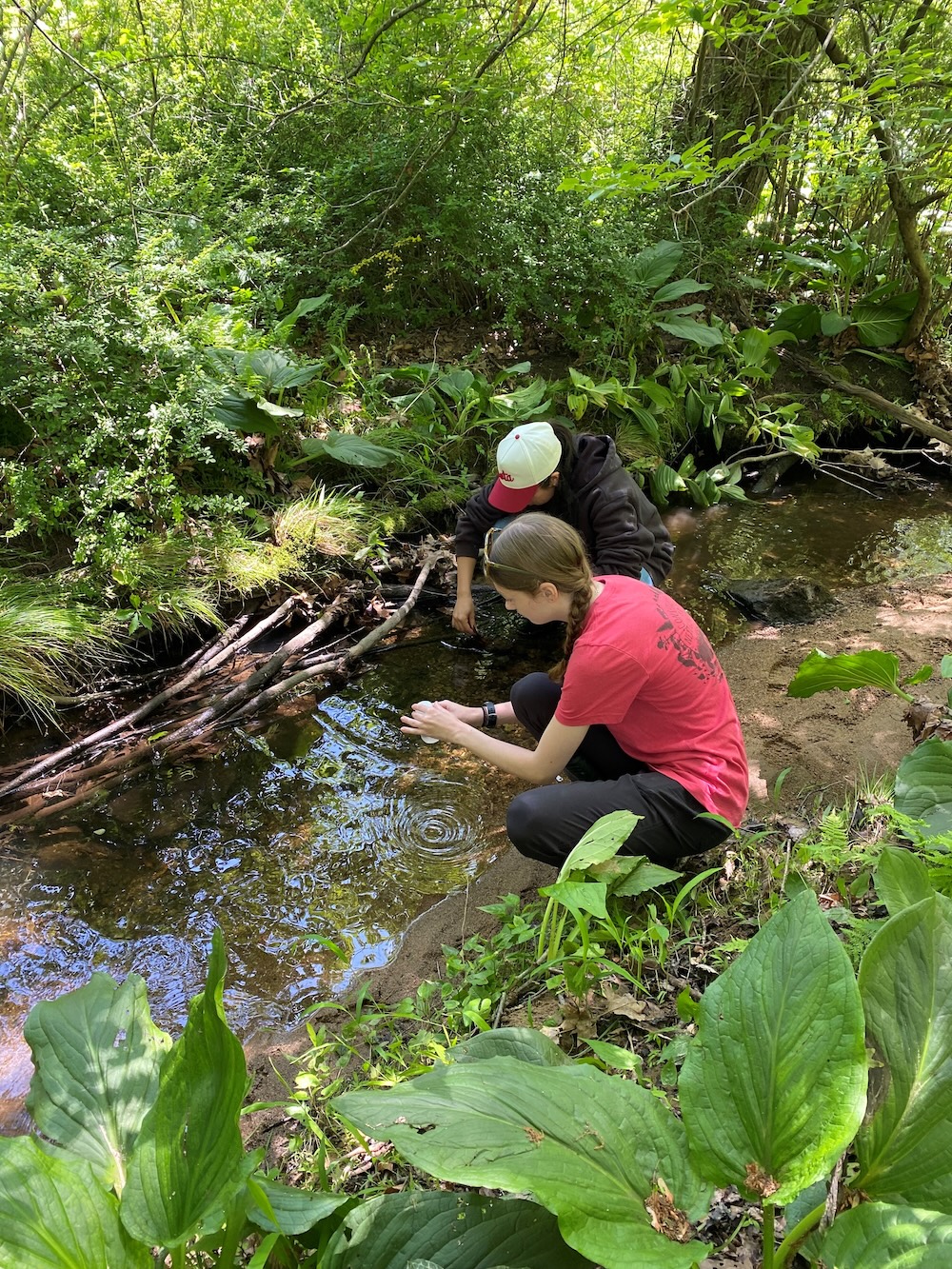 rvcc ces intern taking a water sample from a creek
