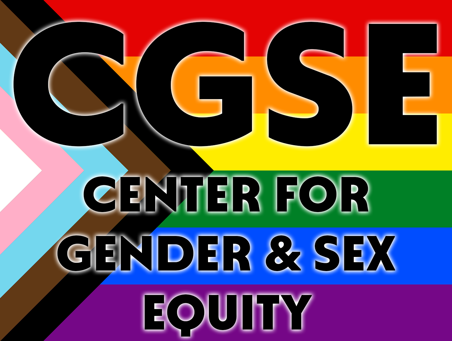 logo with CGSE center for gender & sex equity lettering over flag with multicolor stripes